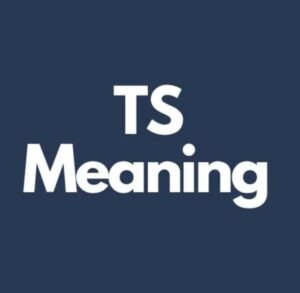 TS Meaning From General Meanings And Slang Use To Chats