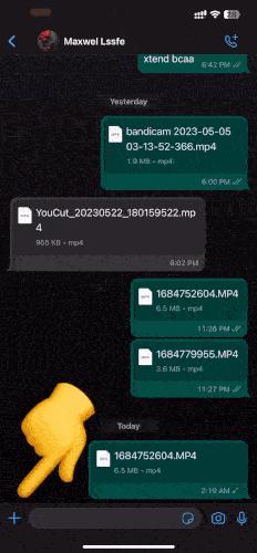 如何在 Whatsapp 上發送和追蹤位置？