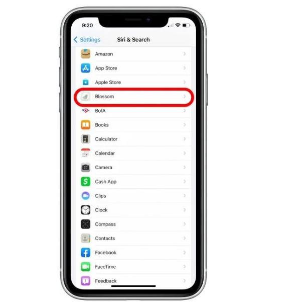 cómo ocultar una aplicación en iPhone: acceda a todas las aplicaciones y haga clic en la aplicación