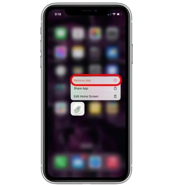 how to hide an app on iphone - Remove app