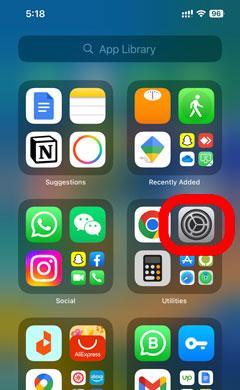 Settings icon in iOS mobiles