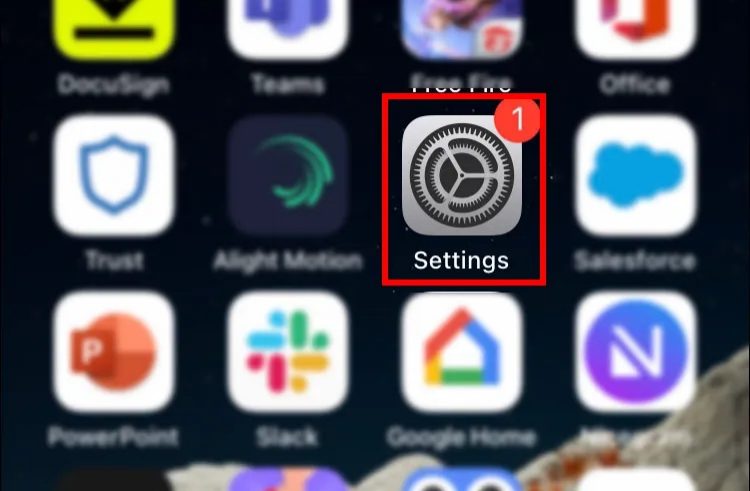 Go to iPhone Settings