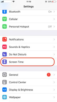 Screen Time in iPhone's setting