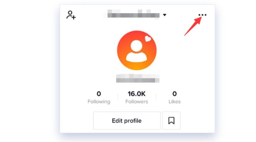 three-dot menu at the top right on TikTok