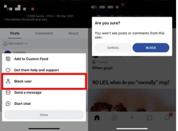 memblokir seseorang di Reddit tanpa pesan