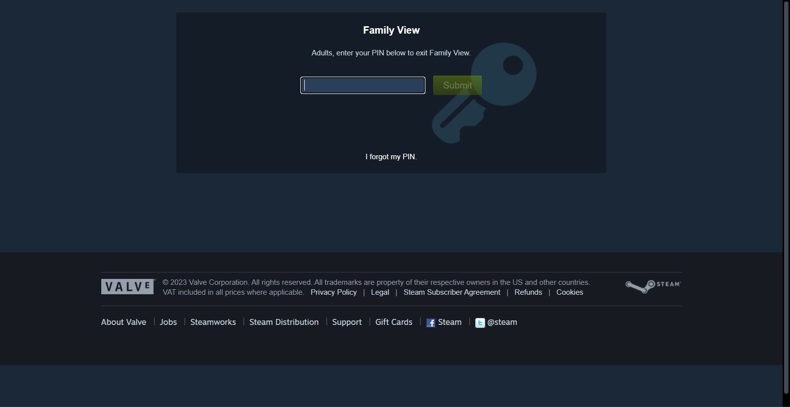 steam family PIN