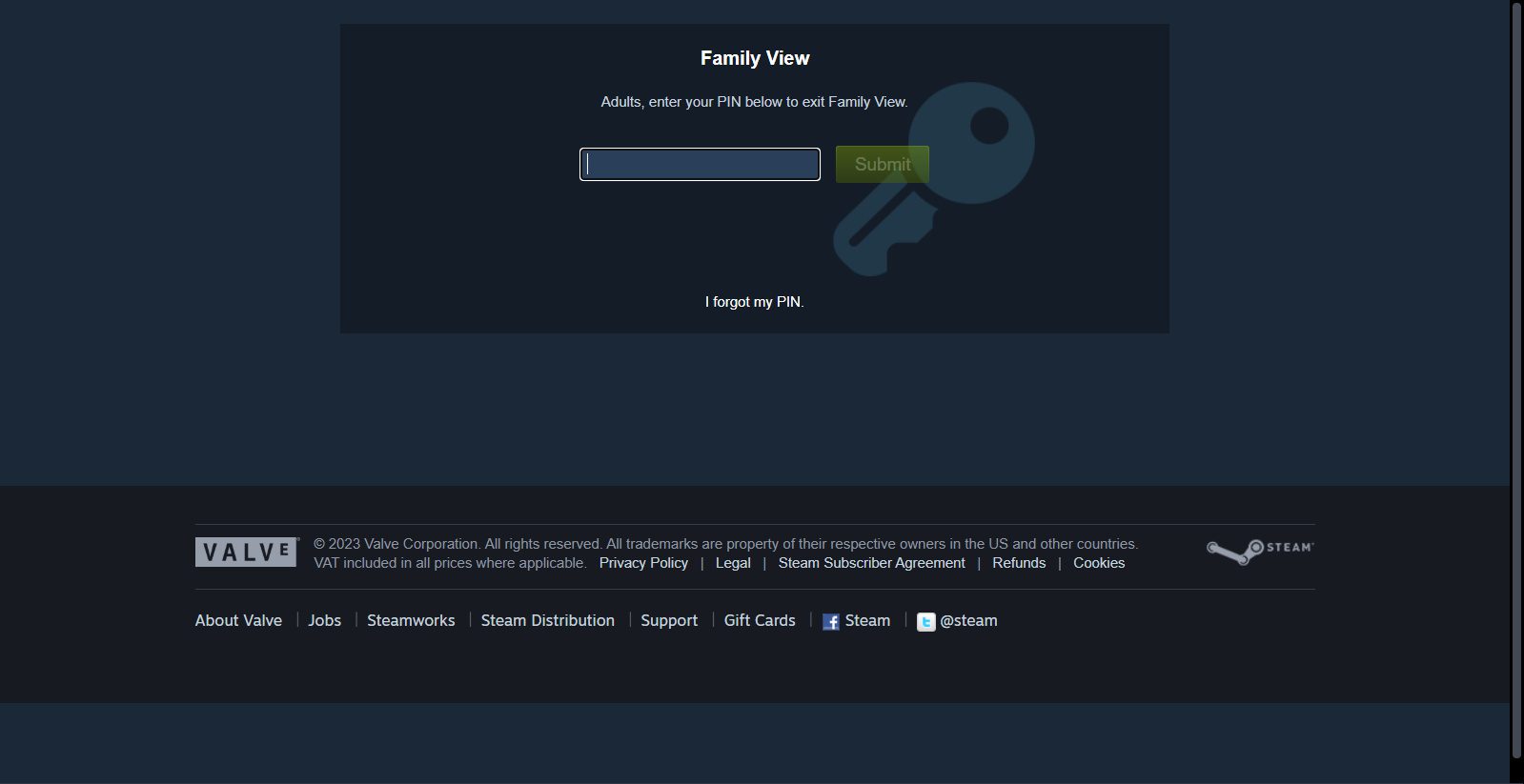 Steam ailesi PIN&#39;i