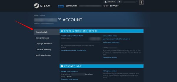 Steam roditeljski račun Detalj s