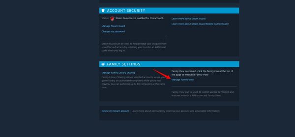 Manage Steam Family View