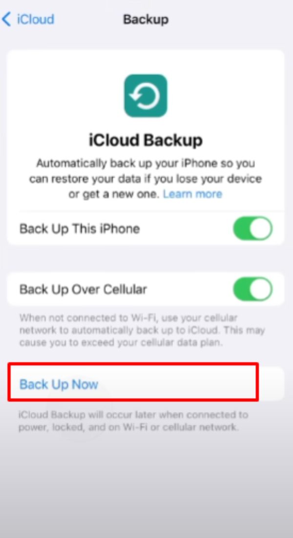 toque em Fazer backup agora