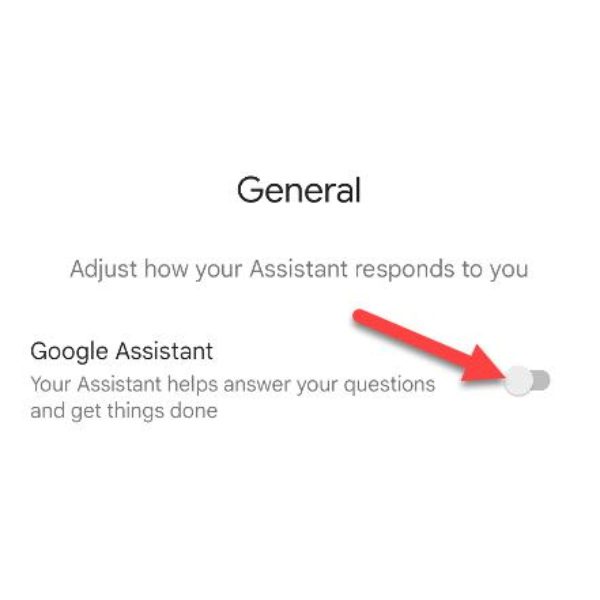 Google Assistant