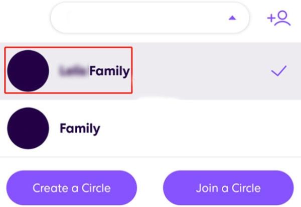 Create a family circle