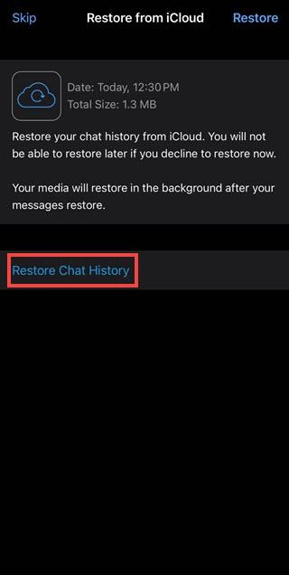 Restore WhatsApp messages from iCloud