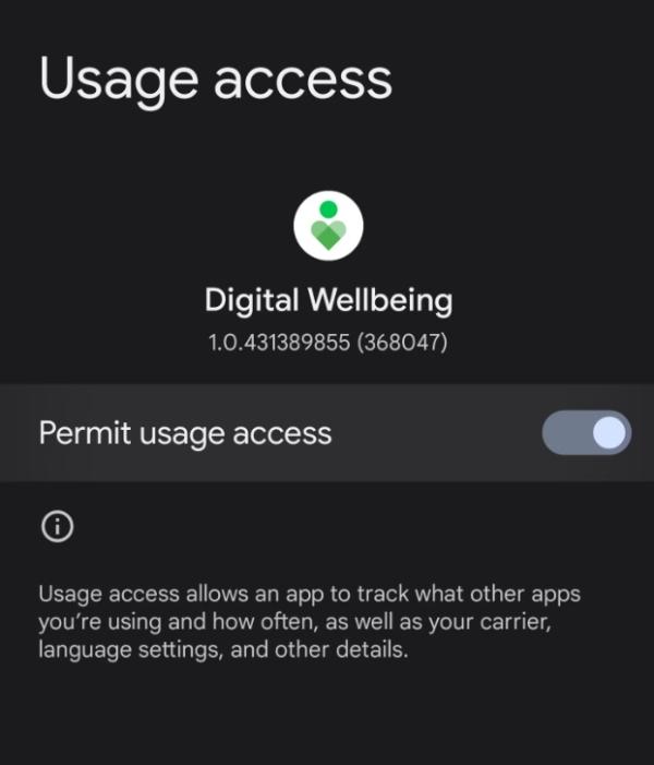 사용 액세스 허용Allow Usage access