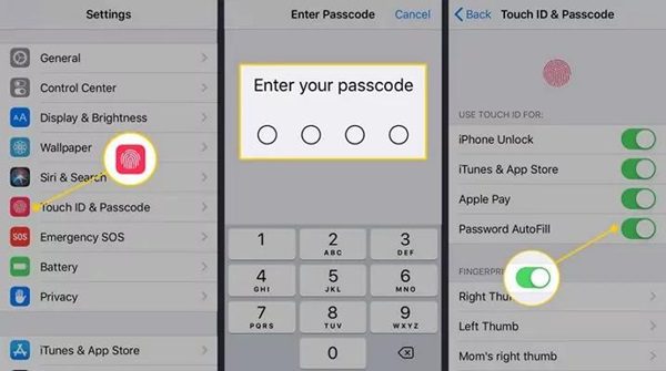 Accéder au Touch ID et au mot de passe