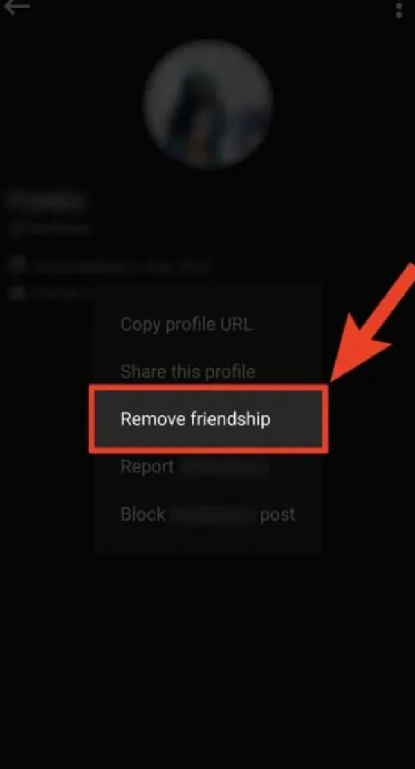 remove friend