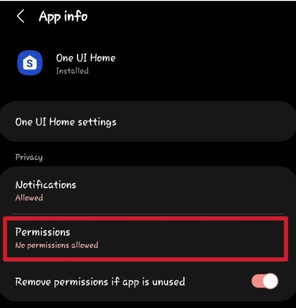One UI Home appinformation