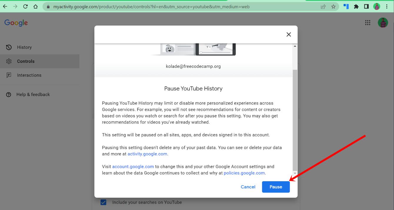 Pause YouTube History
