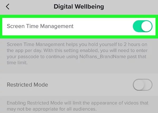 screen time management on TikTok