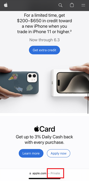 Incognito mode on iPhone: Guide to turn on Safari Private Browsing