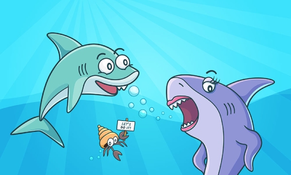 igre s morskim psima za djecu 2