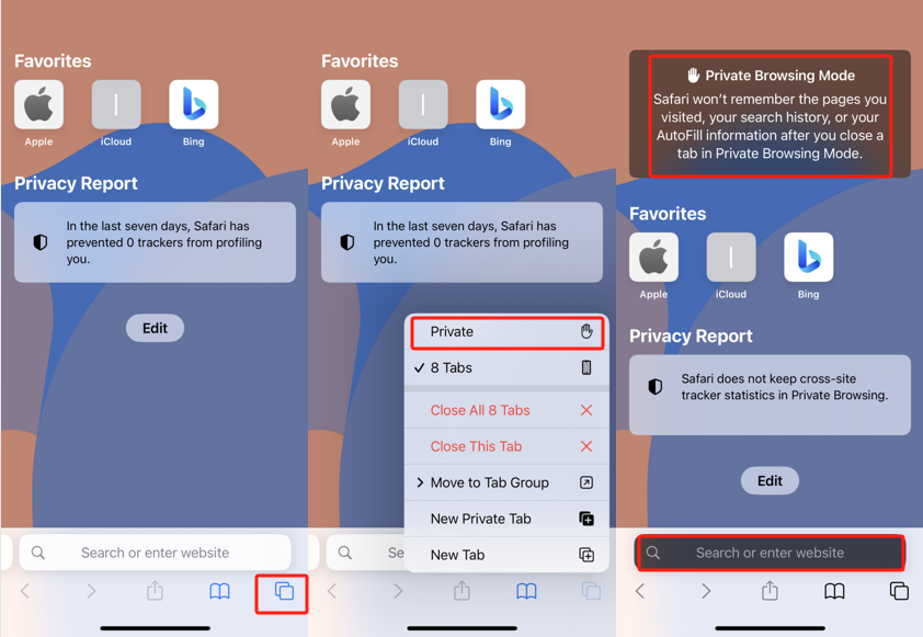 เปิดโหมดไม่ระบุตัวตนบน Safari iPhone