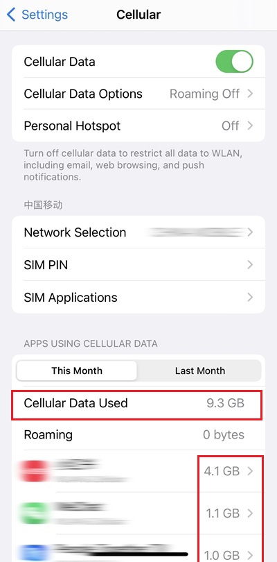 Penggunaan data seluler di iPhone