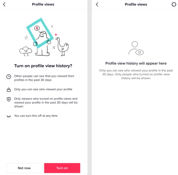 TikTok Profile View History setting