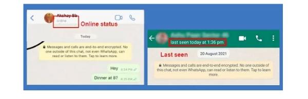 Checking their WhatsApp Online Statu