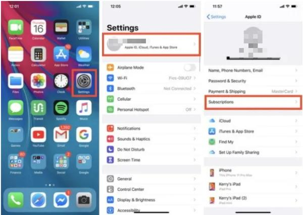 delete subscription on iphone using setting