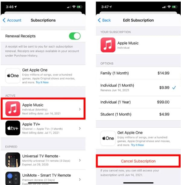 supprimer l&#39;abonnement sur iPhone via l&#39;App Store 2