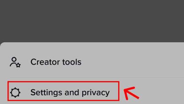 Choose Settings and Privacy option at the bottom