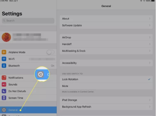  iPad General settings