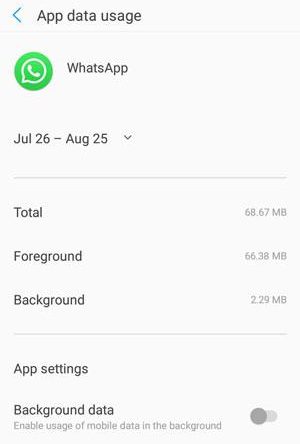 WhatsApp hesabını silmeye alternatifler 4