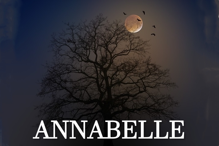 Annabelle movie series