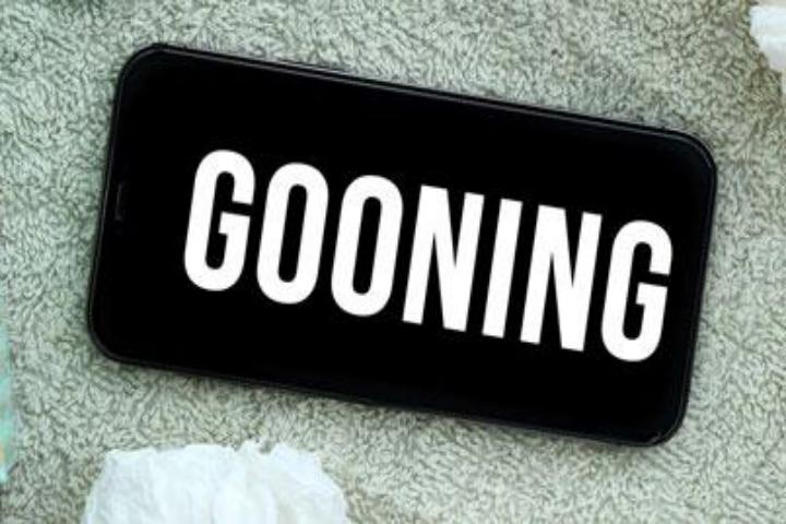 TikTok의 Gooning 의미