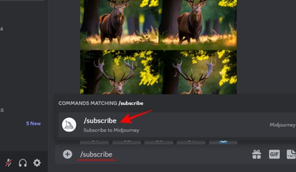 Cách hủy đăng ký MidJourney qua Discord 2