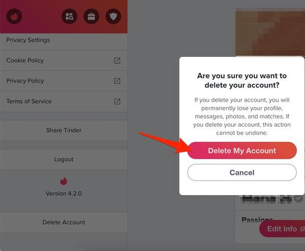 Come eliminare un account Tinder tramite il sito web di Tinder