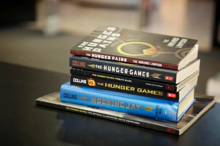 The hunger games series