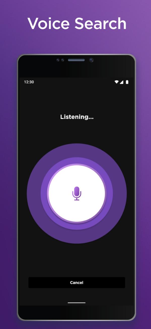 Use Voice Search on the Roku 