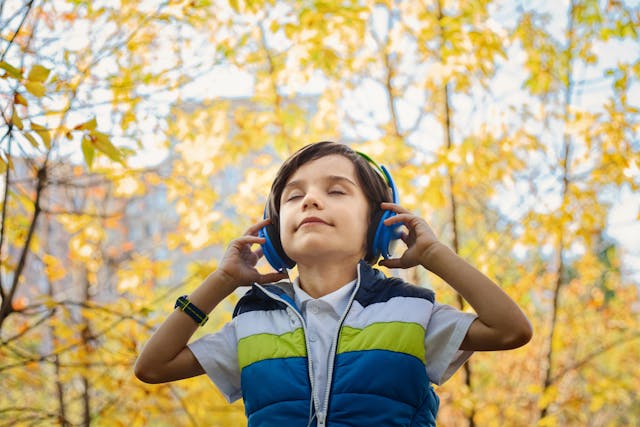 Noise-canceling headphones