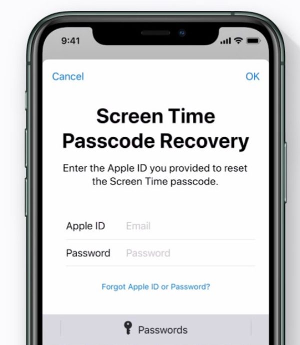 Use Apple ID to Reset Passcode