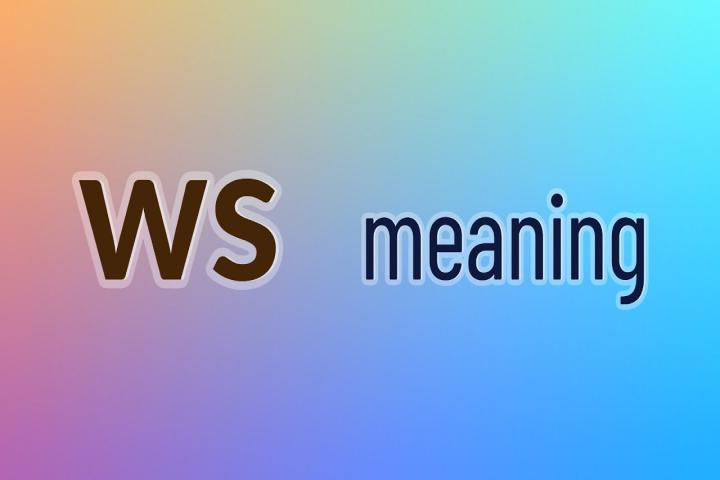 WS meaning