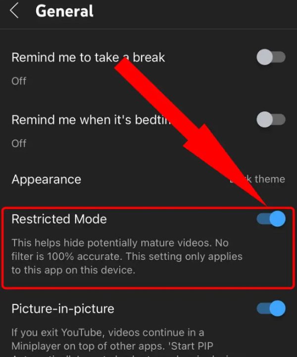 go to the option of “Restricted Mode”