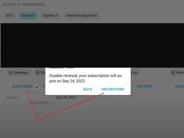 How to cancel OnlyFans subscription on desktop 3