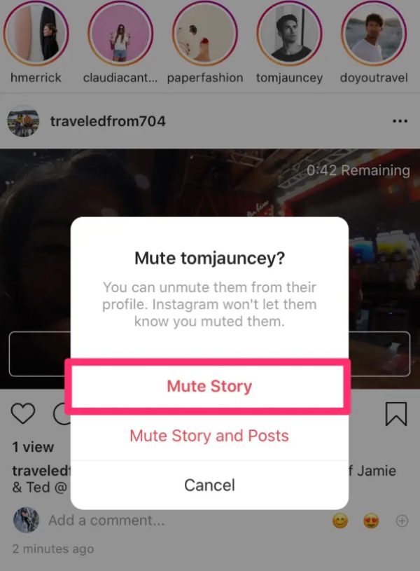 mute Instagram story