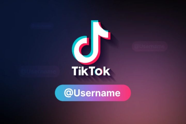 TikTok 사용자 이름 아이디어 