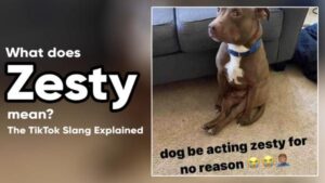 Zesty meaning on TikTok: A slang guide for parents and teens
