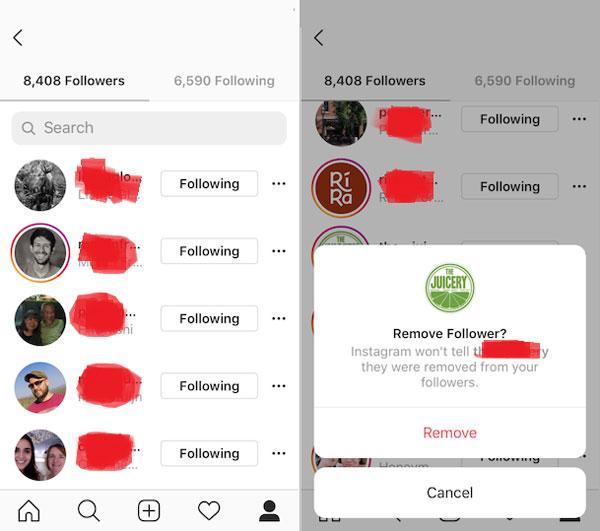 Instagram Bot follower