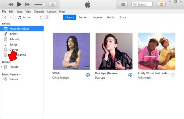 Using iTunes 1